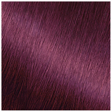 Garnier Nutrisse Ultra Color Nourishing Hair Color Creme, V2 Dark Intense Violet, 2 count-CaribOnline