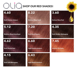 Garnier Olia Oil Powered Permanent Hair Color, 6.60 Light Intense Auburn, 1 kit-CaribOnline