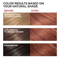 L'Oréal Paris Superior Preference Fade-Defying Shine Permanent Hair Color, 6R Light Auburn, 2 count-CaribOnline