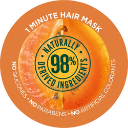 Garnier Fructis Hair Treats with Papaya Extracts, 13.5 fl. oz.-CaribOnline
