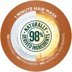 Garnier Fructis Nourishing Treat 1 Minute Hair Mask with Coconut Extract, 13.5 oz.-CaribOnline