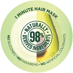 Garnier Fructis Smoothing Treat 1 Minute Hair Mask with Avocado Extract, 13.5 oz.-CaribOnline