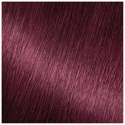 Garnier Nutrisse Nourishing Hair Color Creme, 462 Dark Berry Burgundy, 1 kit-CaribOnline