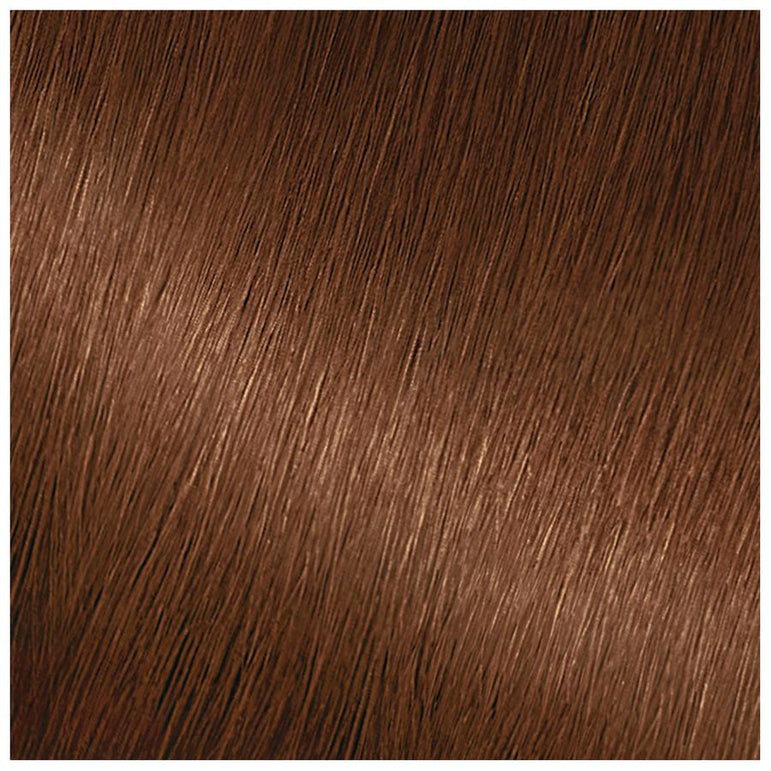 Garnier Nutrisse Nourishing Hair Color Creme, 53 Medium Golden Brown (Chestnut), 1 kit-CaribOnline