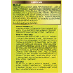 Garnier Nutrisse Nourishing Hair Color Creme, 53 Medium Golden Brown (Chestnut), 1 kit-CaribOnline