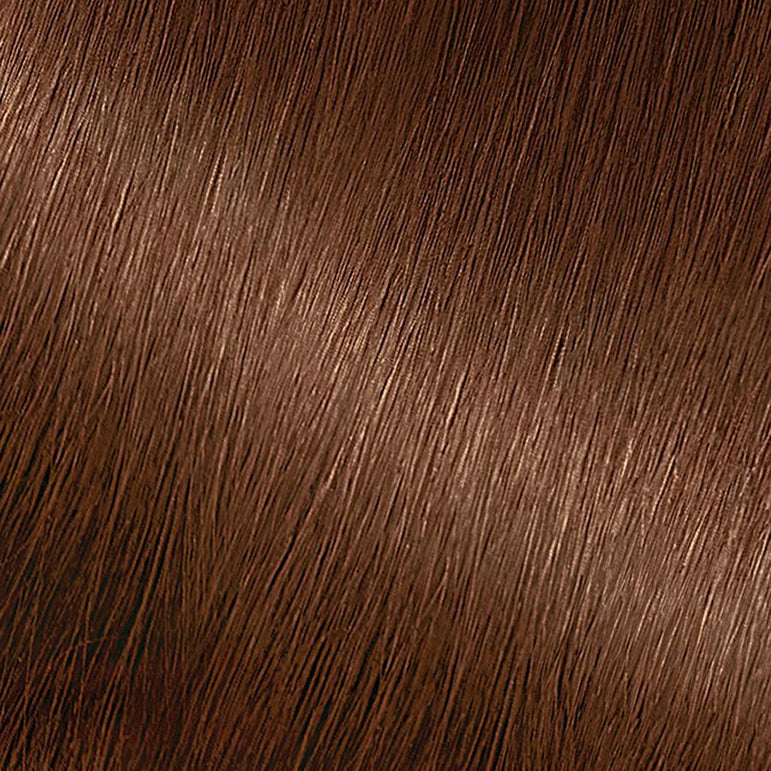 Garnier Nutrisse Nourishing Hair Color Creme, 53 Medium Golden Brown (Chestnut), 2 count-CaribOnline