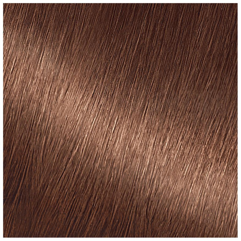 Garnier Nutrisse Nourishing Hair Color Creme, 60 Light Natural Brown (Acorn), 2 count-CaribOnline