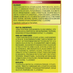 Garnier Nutrisse Nourishing Hair Color Creme, 66 True Red (Pomegranate), 1 kit-CaribOnline