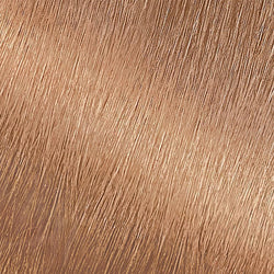 Garnier Nutrisse Nourishing Hair Color Creme, 80 Medium Natural Blonde (Butternut), 2 count-CaribOnline