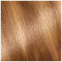 Garnier Nutrisse Nourishing Hair Color Creme, H2 Golden Blonde, 1 kit-CaribOnline