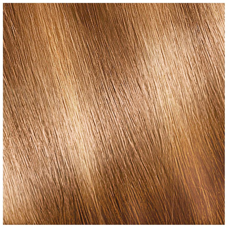 Garnier Nutrisse Nourishing Hair Color Creme, H2 Golden Blonde, 2 count-CaribOnline