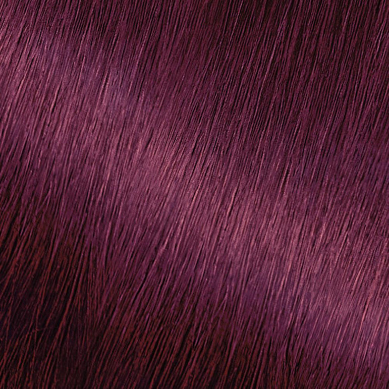 Garnier Nutrisse Ultra Color Nourishing Hair Color Creme, V2 Dark Intense Violet, 1 kit-CaribOnline