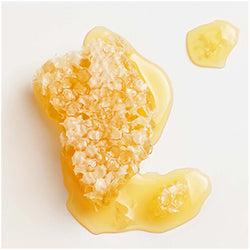 Garnier Whole Blends Repairing Conditioner Honey Treasures, For Damaged Hair, 12.5 fl. oz.-CaribOnline