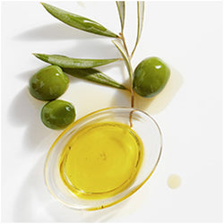 Garnier Whole Blends Replenishing Conditioner Legendary Olive, For Dry Hair, 12.5 fl. oz.-CaribOnline
