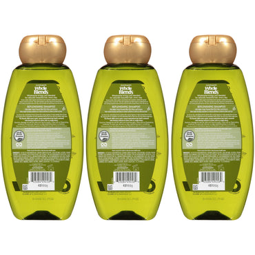 Garnier Whole Blends Replenishing Shampoo Legendary Olive, For Dry Hair, 3 count-CaribOnline