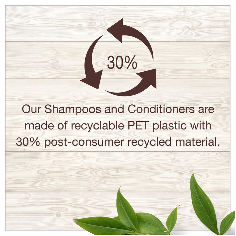 Garnier Whole Blends Restoring Shampoo Maple Remedy, For Dry, Damaged Hair, 22 fl. oz.-CaribOnline