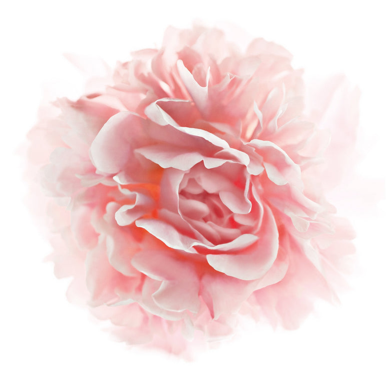 L'Oréal Paris Age Perfect Rosy Tone Anti-Aging Eye Brightener Paraben Free, 0.5 oz.-CaribOnline