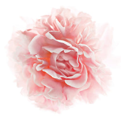 L'Oreal Paris Age Perfect Rosy Tone Fragrance Free Face Moisturizer, 1.7 oz.-CaribOnline