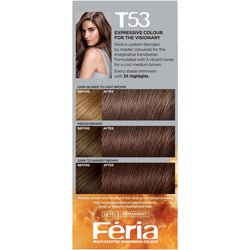 L'Oreal Paris Feria Multi-Faceted Shimmering Permanent Hair Color, T53 Moonlit Tortoise (Cool Medium Brown), 1 kit-CaribOnline