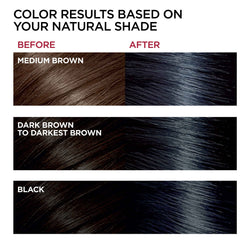 L'Oreal Paris Superior Preference Fade-Defying Shine Permanent Hair Color, 2BL Black Sapphire, 1 kit-CaribOnline