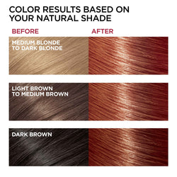 L'Oreal Paris Superior Preference Fade-Defying Shine Permanent Hair Color, 6AB Chic Auburn Brown, 1 kit-CaribOnline