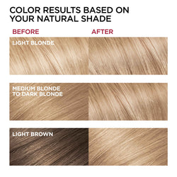 L'Oreal Paris Superior Preference Fade-Defying Shine Permanent Hair Color, 8.5A Champagne Blonde, 1 kit-CaribOnline